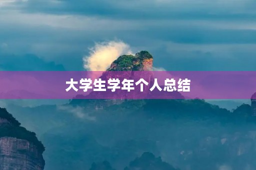 大学生学年个人总结 大学生学年个人总结