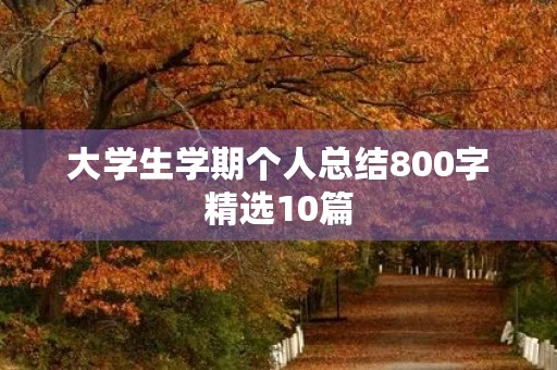 大学生学期个人总结800字精选10篇