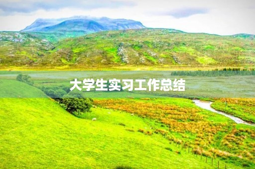 大学生实习工作总结(五篇) 大学生实习工作总结(五篇)