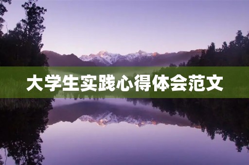 大学生实践心得体会范文