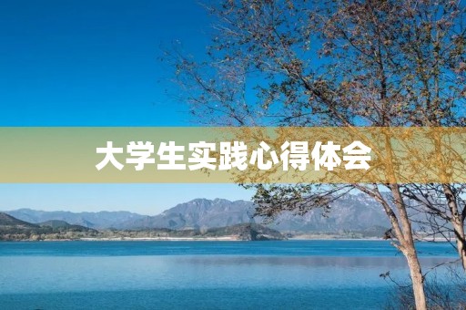 大学生实践心得体会 大学生实践心得体会