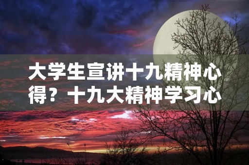 大学生宣讲十九精神心得？十九大精神学习心得体会
