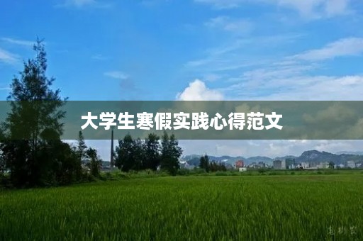 大学生寒假实践心得范文