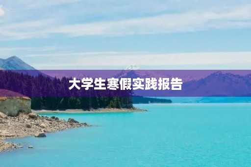 大学生寒假实践报告 大学生寒假实践报告