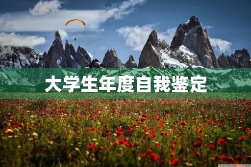 大学生年度自我鉴定