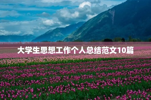大学生思想工作个人总结范文10篇 大学生思想工作个人总结范文10篇