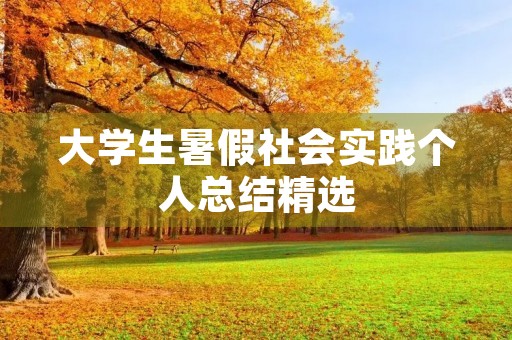 大学生暑假社会实践个人总结精选