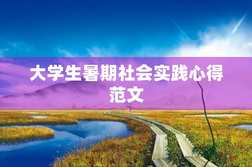 大学生暑期社会实践心得范文