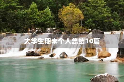 大学生期末个人总结10篇