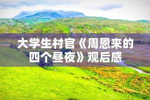 大学生村官《周恩来的四个昼夜》观后感 大学生村官《周恩来的四个昼夜》观后感