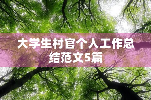 大学生村官个人工作总结范文5篇
