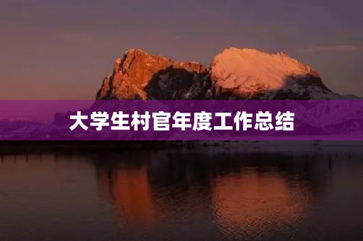 大学生村官年度工作总结