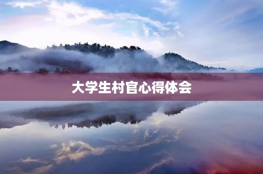 大学生村官心得体会