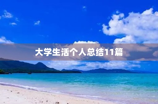 大学生活个人总结11篇