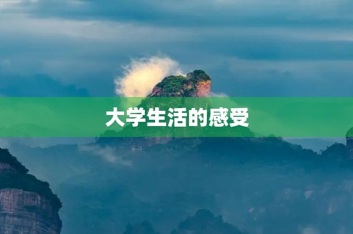大学生活的感受