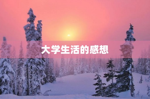 大学生活的感想 大学生活的感想