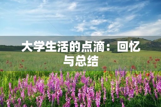 大学生活的点滴：回忆与总结