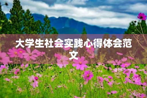 大学生社会实践心得体会范文