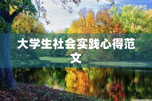 大学生社会实践心得范文