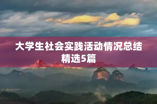 大学生社会实践活动情况总结精选5篇