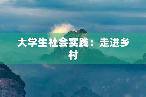 大学生社会实践：走进乡村，触摸生命的温度