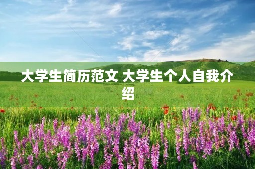 大学生简历范文 大学生个人自我介绍 大学生简历范文 大学生个人自我介绍