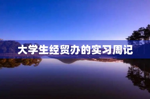 大学生经贸办的实习周记