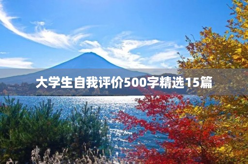 大学生自我评价500字精选15篇