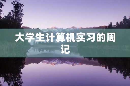 大学生计算机实习的周记