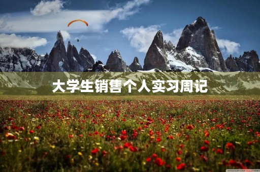 大学生销售个人实习周记 大学生销售个人实习周记