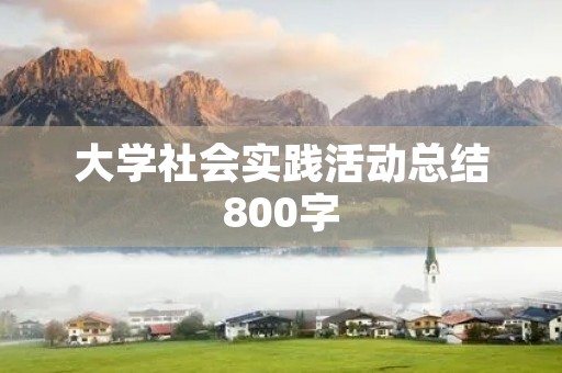大学社会实践活动总结800字