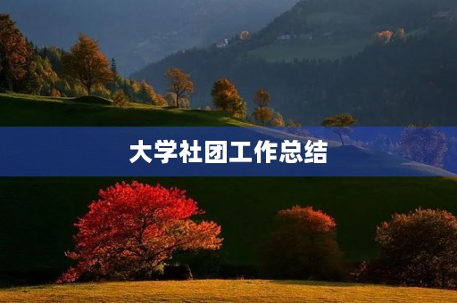 大学社团工作总结