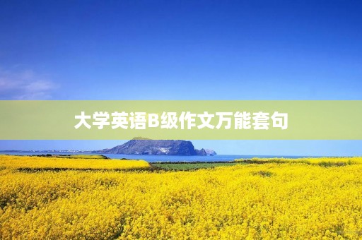 大学英语B级作文万能套句