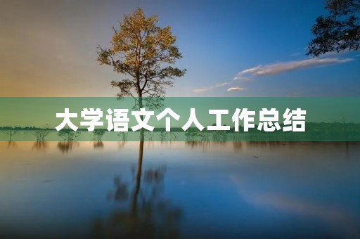 大学语文个人工作总结