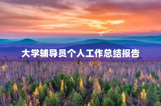 大学辅导员个人工作总结报告