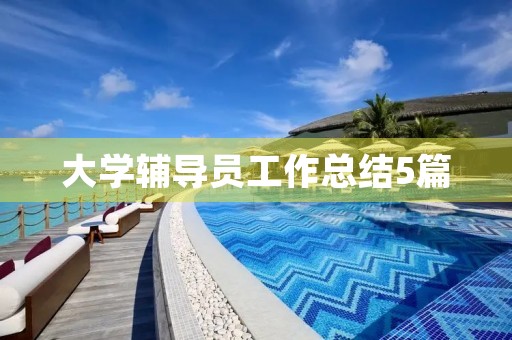 大学辅导员工作总结5篇