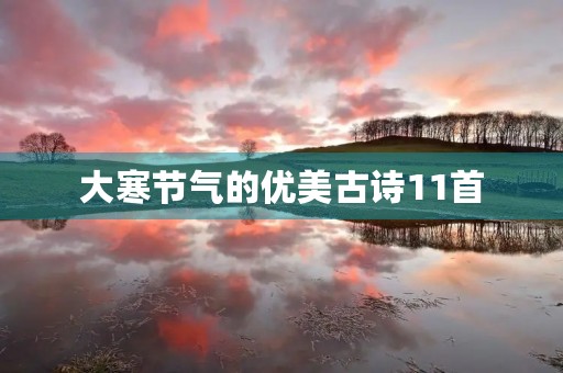 大寒节气的优美古诗11首