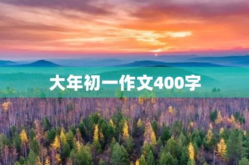 大年初一作文400字