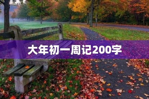 大年初一周记200字