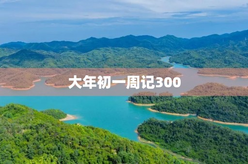 大年初一周记300