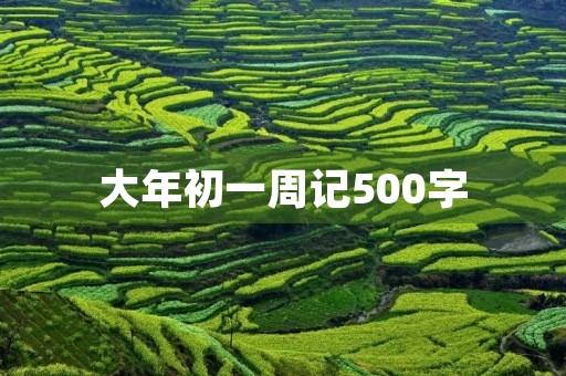 大年初一周记500字