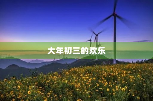 大年初三的欢乐