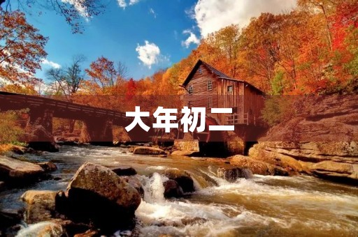 大年初二,我与家人一同欣赏花灯 大年初二,我与家人一同欣赏花灯