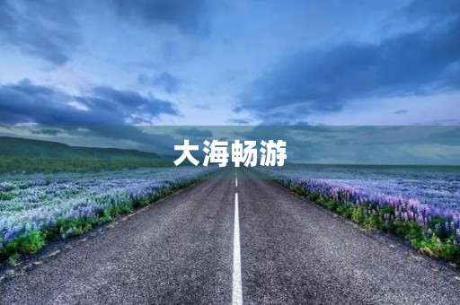 大海畅游 大海畅游