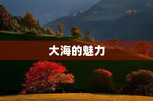 大海的魅力