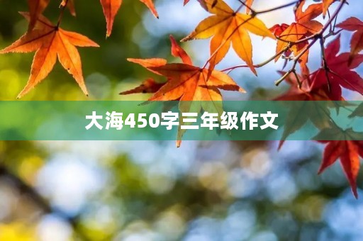 大海450字三年级作文