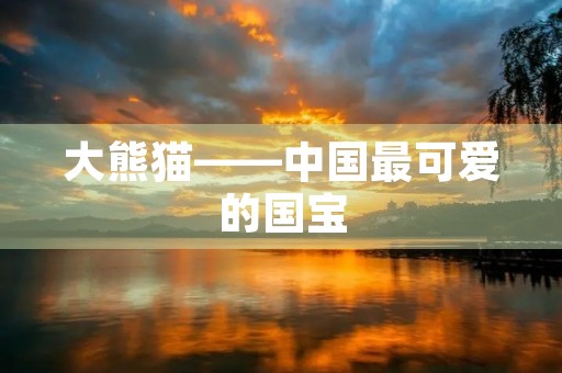 大熊猫——中国最可爱的国宝