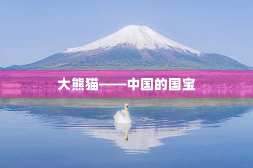 大熊猫——中国的国宝 大熊猫——中国的国宝