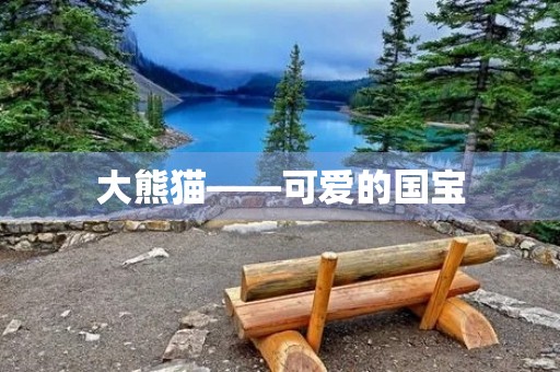 大熊猫——可爱的国宝