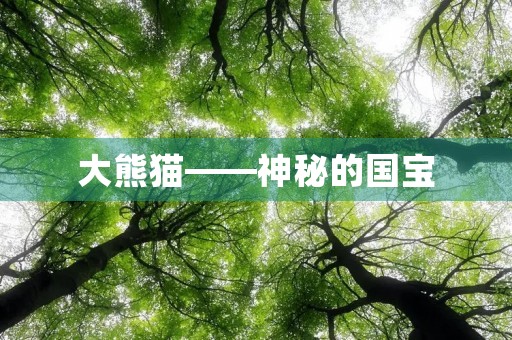 大熊猫——神秘的国宝